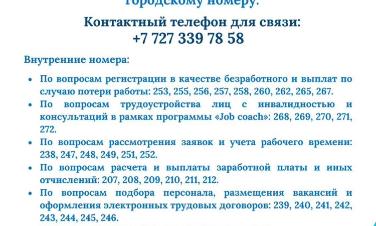 Связь с Центром трудовой мобильности осуществляется по городским телефонным номерам